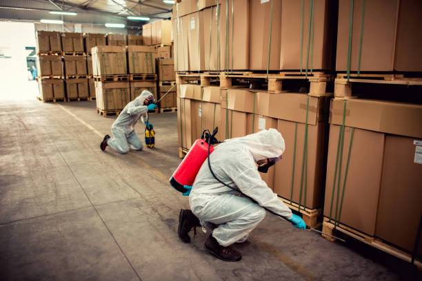 Best Cockroach Control Services  in Sutton, NE