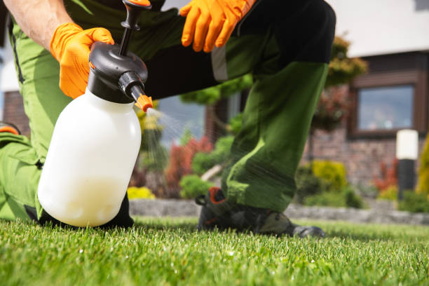 Best Pest Removal Services  in Sutton, NE