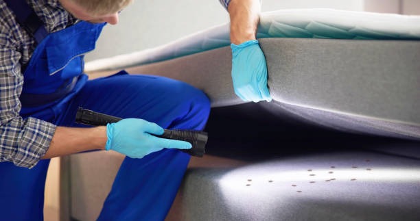 Best Affordable Pest Control Services  in Sutton, NE