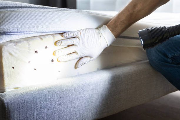 Best Residential Pest Control  in Sutton, NE