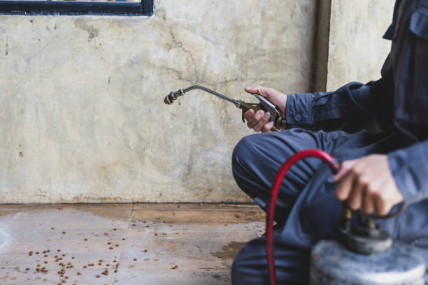 Best Best Pest Control Companies  in Sutton, NE